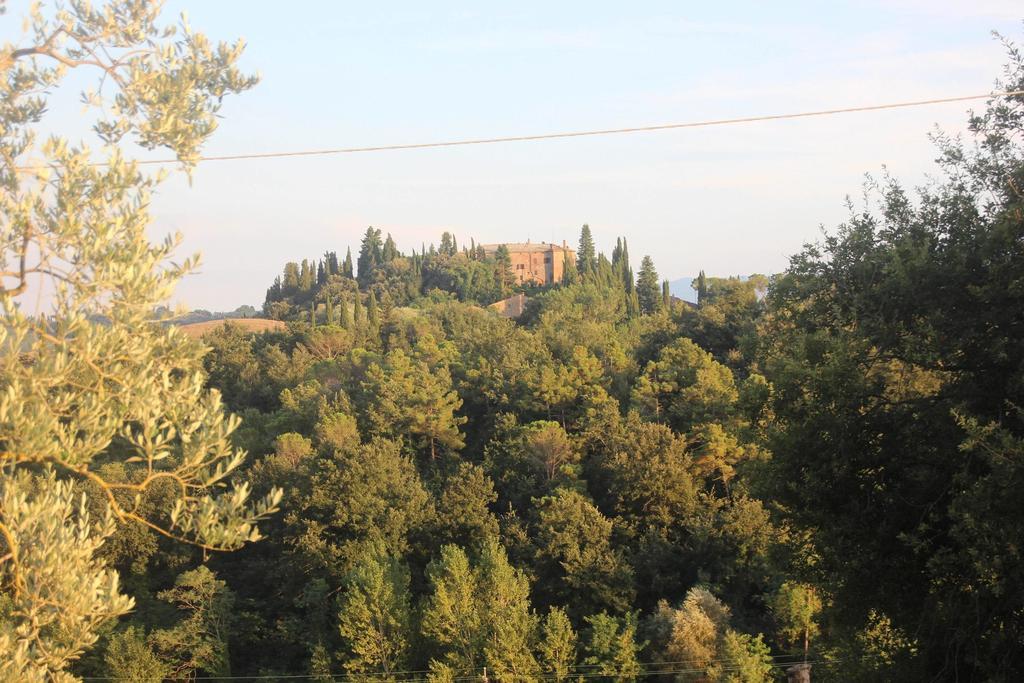 Apartment Podere Ferranino